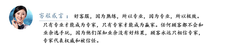 山東電機廠,水泵專用電機,電機定制
