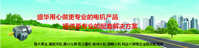 山東電機廠,高效節能電機,盛華電機
